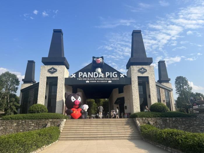 图片18.jpg