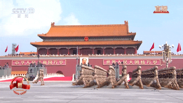 5a2554fb9e1cea5e4cf270ef6b152d26.gif